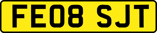 FE08SJT