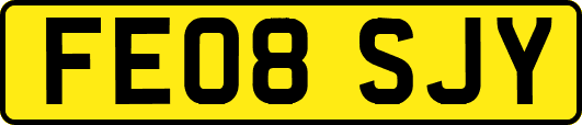 FE08SJY