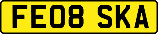 FE08SKA
