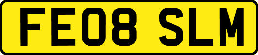 FE08SLM