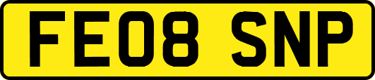 FE08SNP