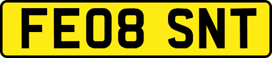 FE08SNT