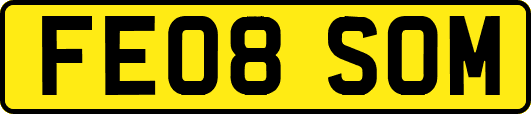 FE08SOM