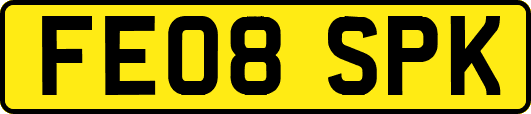 FE08SPK