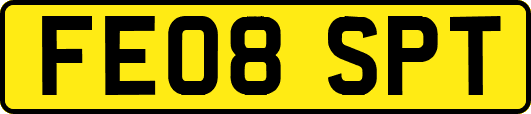 FE08SPT
