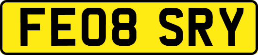 FE08SRY