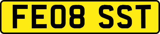 FE08SST