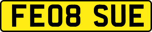 FE08SUE
