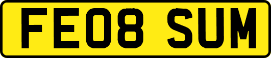 FE08SUM