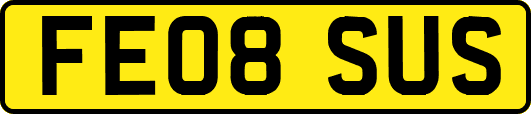 FE08SUS