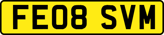 FE08SVM