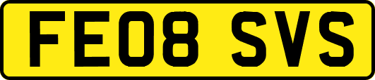 FE08SVS