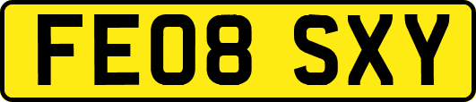 FE08SXY