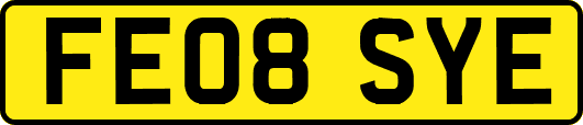FE08SYE