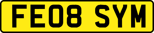 FE08SYM