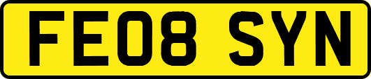 FE08SYN