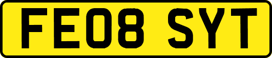 FE08SYT