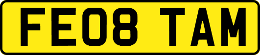 FE08TAM