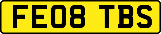 FE08TBS