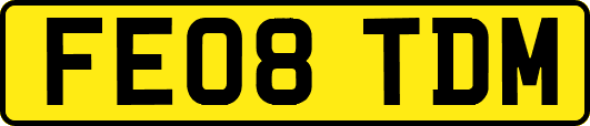 FE08TDM