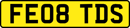 FE08TDS