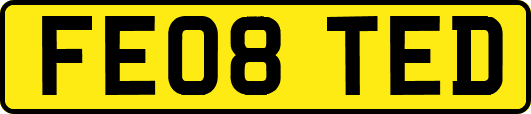 FE08TED