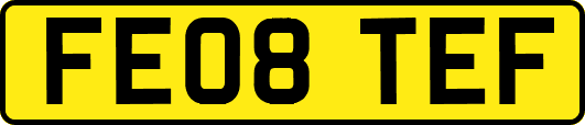 FE08TEF