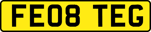 FE08TEG