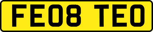 FE08TEO