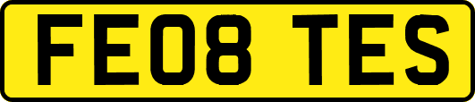 FE08TES