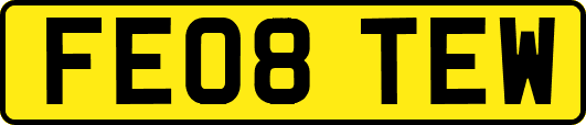 FE08TEW