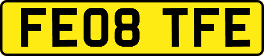 FE08TFE