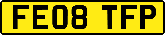 FE08TFP