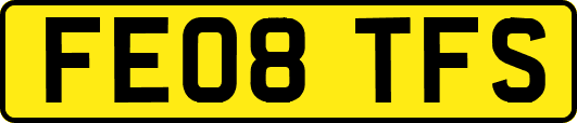 FE08TFS