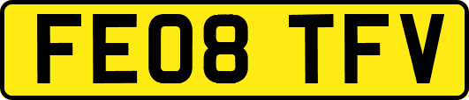 FE08TFV