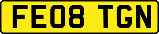 FE08TGN