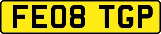 FE08TGP