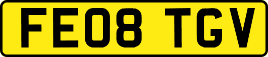 FE08TGV