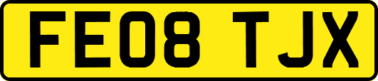 FE08TJX