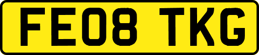 FE08TKG