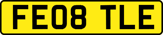 FE08TLE