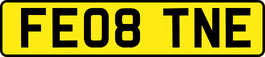 FE08TNE