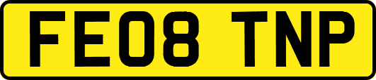 FE08TNP
