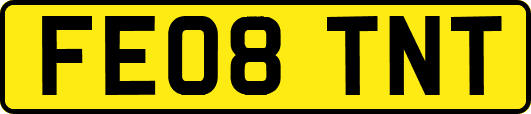 FE08TNT