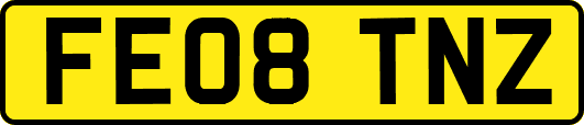 FE08TNZ