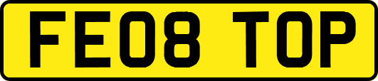 FE08TOP