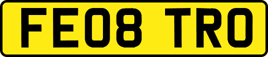 FE08TRO