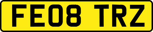 FE08TRZ