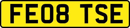 FE08TSE