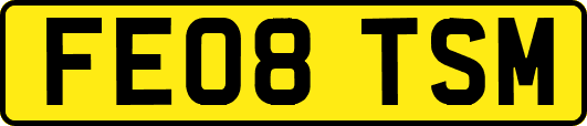 FE08TSM